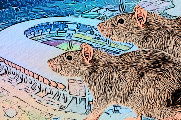 Tikus-tikus ‘Bedebah’ di Pengadaan Lahan Sport Center Banten