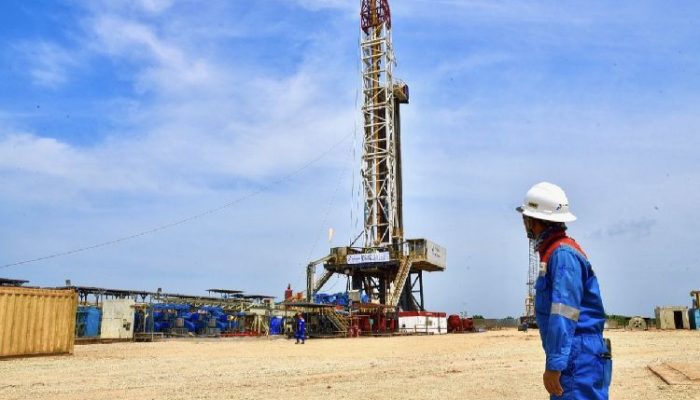 Top! Potensi Bisnis CCS Bisa Dorong Pertumbuhan Ekonomi