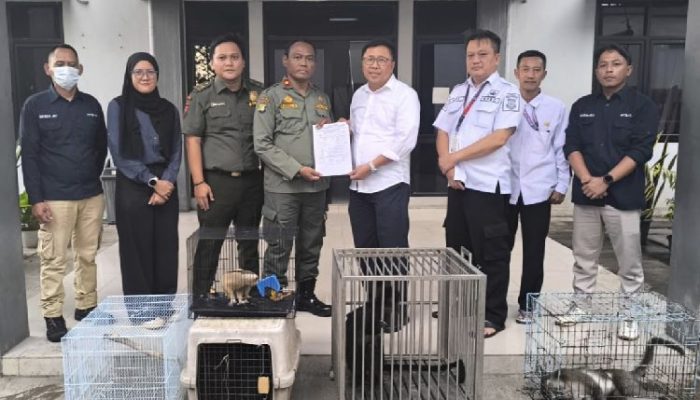 BPBD Kabupaten Tangerang Serahkan Empat Ekor Satwa Dilindungi ke BKSDA
