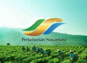 Holding Perkebunan Nusantara Dorong Produk Bernilai Tinggi, Teh Malabar PTPN I Tembus Pasar Premium