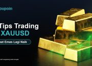 5 Tips Trading XAUUSD Saat Harga Emas Sedang Menguat