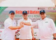 Holding Perkebunan Nusantara Dukung Keberlanjutan, PTPN IV Regional III Remajakan 949,6 Hektare Sawit Renta