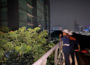KAI Perkuat Keamanan Operasional LRT Jabodebek Lewat Perawatan Pepohonan di Sepanjang Jalur