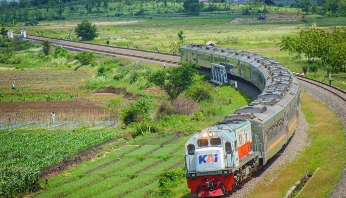 KAI Daop 1 Jakarta Catat Enam Kejadian Pohon Tumbang Sepanjang 2025, Seluruhnya Berhasil Ditangani dengan Cepat