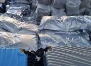 3,37 Ton Cannabis Buds Disita, Jutaan Vape THC Gagal Mengintai Anak Muda
