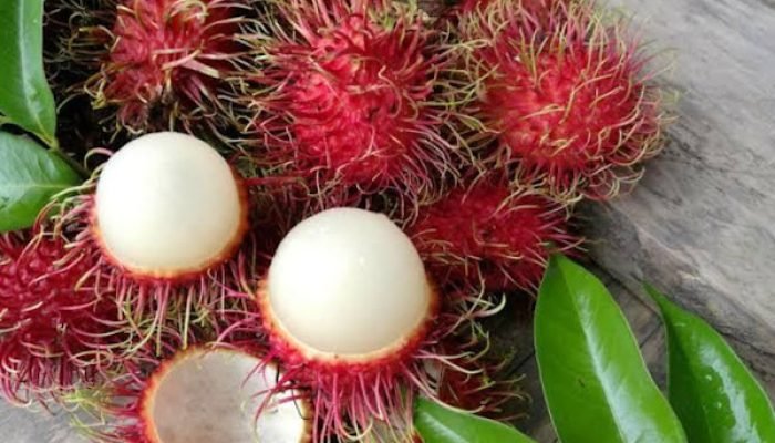 Rambutan Parakan, Jejak Manis yang Menolak Hilang dari Tangerang