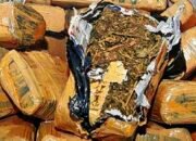 Remaja 15 Tahun dan Jejak Ganja 3,4 Kilogram di Pul Bus Tanah Tinggi