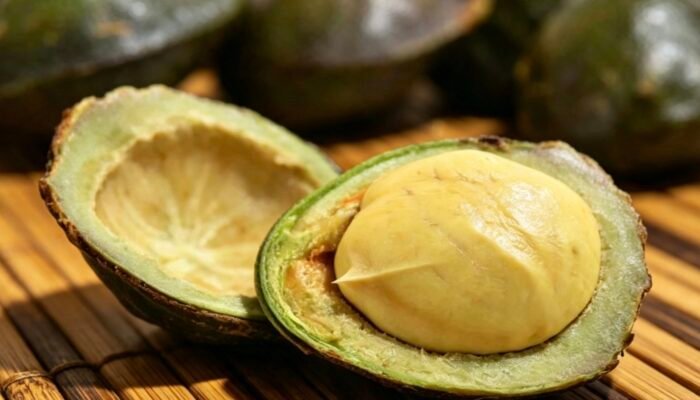 Jejak Jengkol, dari Hutan Tropis hingga Meja Makan Nusantara