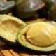 Jejak Jengkol, dari Hutan Tropis hingga Meja Makan Nusantara