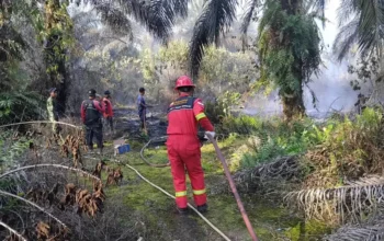 Polri Tetapkan 72 Tersangka Karhutla di 9 Polda