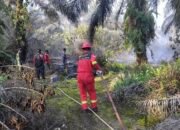 PetroChina Bantu Padamkan Karhutla di Tanjung Jabung Jambi
