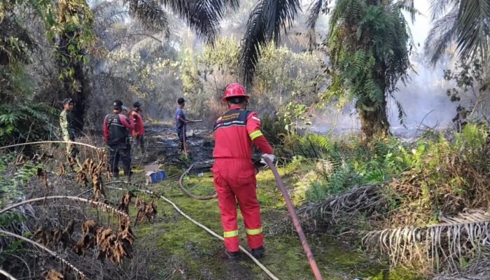 PetroChina Bantu Padamkan Karhutla di Tanjung Jabung Jambi