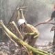 Kebakaran Sampah di Pondok Bahar, Damkar Gunakan Teknik Suntik Air