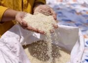 Bulog Jamin Harga Beras Stabil di Tengah Ancaman El Nino
