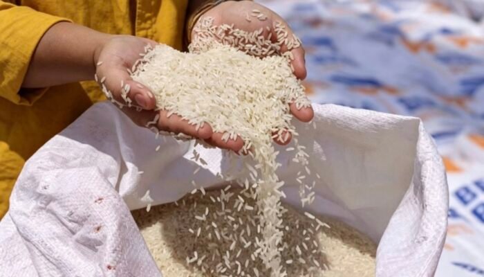 Bulog Jamin Harga Beras Stabil di Tengah Ancaman El Nino