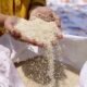 Bulog Jamin Harga Beras Stabil di Tengah Ancaman El Nino