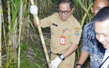 Cikuya Jadi Desa Komoditi, Pemkab Tangerang Bidik Petani Muda Jadi Pengusaha