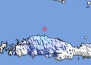 Gempa M 4,2 Guncang Laut Utara Ruteng, BMKG Ingatkan Potensi Gempa Susulan