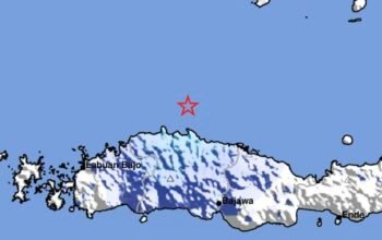 Gempa M 4,2 Guncang Laut Utara Ruteng, BMKG Ingatkan Potensi Gempa Susulan