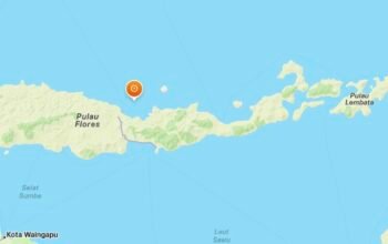 Gempa M4,8 Guncang Timur Laut Mbay, Nagekeo, BMKG Waspadai Susulan