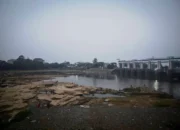 BMKG Pasang Peringatan Kekeringan, Jawa Berubah Merah