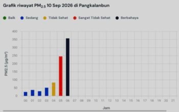 PM2.5 Pangkalbun Tembus 357,3 µg/m³, Masuk Kategori Berbahaya