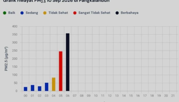 PM2.5 Pangkalbun Tembus 357,3 µg/m³, Masuk Kategori Berbahaya