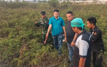 Misteri Kerangka Pasar Kemis: Ibu Kehilangan Anak, Tes DNA Jadi Kunci