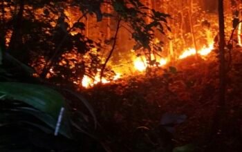 Kemarau, BNPB: Karhutla dan Kekeringan Melanda Sejumlah Daerah