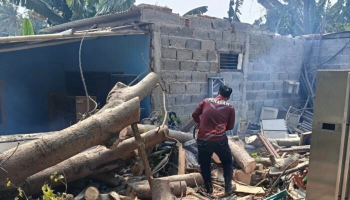 Pohon Tumbang Timpa Rumah di Teluknaga, 1 Anak Tewas dan 2 Luka