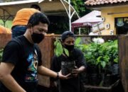 Mau Tanam Pohon? Warga Kota Tangerang Bisa Dapat Bibit Gratis Lewat Tangerang LIVE