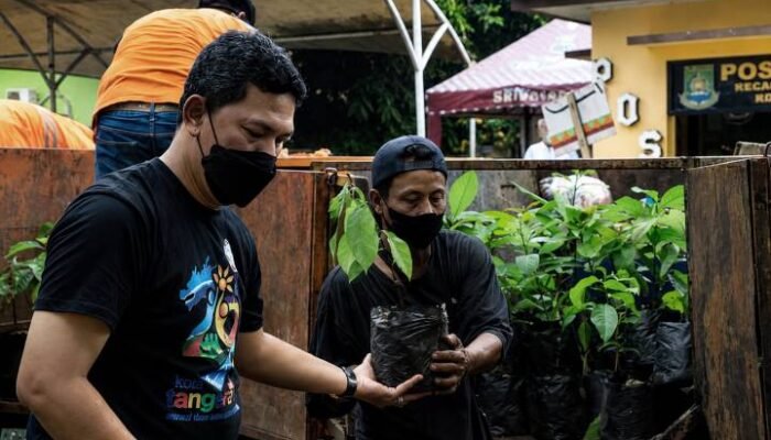 Mau Tanam Pohon? Warga Kota Tangerang Bisa Dapat Bibit Gratis Lewat Tangerang LIVE
