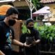 Mau Tanam Pohon? Warga Kota Tangerang Bisa Dapat Bibit Gratis Lewat Tangerang LIVE