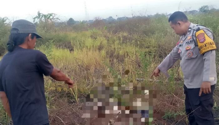 Tulang Diduga Kerangka Manusia Ditemukan di Lahan Kosong Kuta Bumi