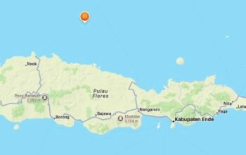 Gempa M 4,3 Guncang Manggarai, Berpusat 82 Kilometer Timur Laut Ruteng