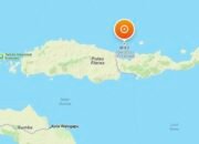 Gempa Magnitudo 4,2 Guncang Laut Utara Mbay-Nagekeo, BMKG: Waspada Susulan