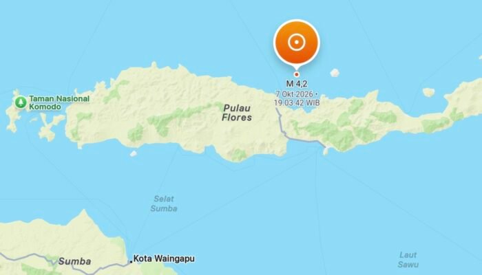 Gempa Magnitudo 4,2 Guncang Laut Utara Mbay-Nagekeo, BMKG: Waspada Susulan