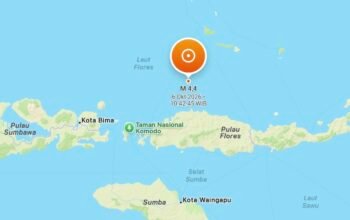 Gempa Magnitudo 4,4 Guncang Laut Utara Ruteng, BMKG Wanti-wanti Gempa Susulan