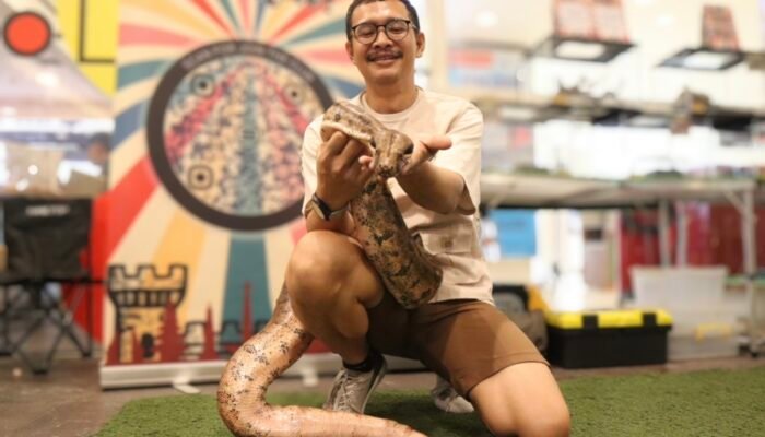 Hubungan Ular dengan Manusia: Ketika Rasa Takut Mengalahkan Fakta
