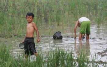 Warisan Aria Wangsakara yang Tergerus: Hamparan Sawah Menjelma ‘Alas Beton’