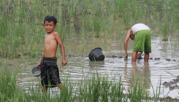 Warisan Aria Wangsakara yang Tergerus: Hamparan Sawah Menjelma ‘Alas Beton’