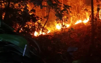 BMKG: Karhutla Mengintai, 674 Titik Panas Terdeteksi di Sejumlah Wilayah