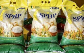 Dugaan Mafia Beras Oplos SPHP, Kementan: Usut hingga Jaringan Distribusi