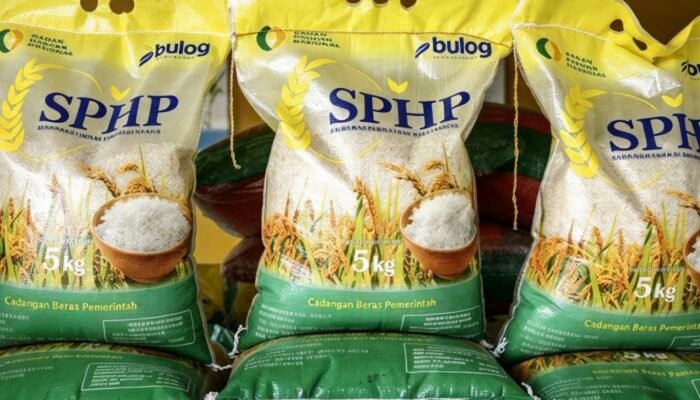 Dugaan Mafia Beras Oplos SPHP, Kementan: Usut hingga Jaringan Distribusi