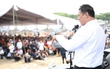 Mentan Klaim Impor Singkong Distop, Harga Naik Jadi Rp3.000 per Kilogram