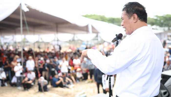 Mentan Klaim Impor Singkong Distop, Harga Naik Jadi Rp3.000 per Kilogram