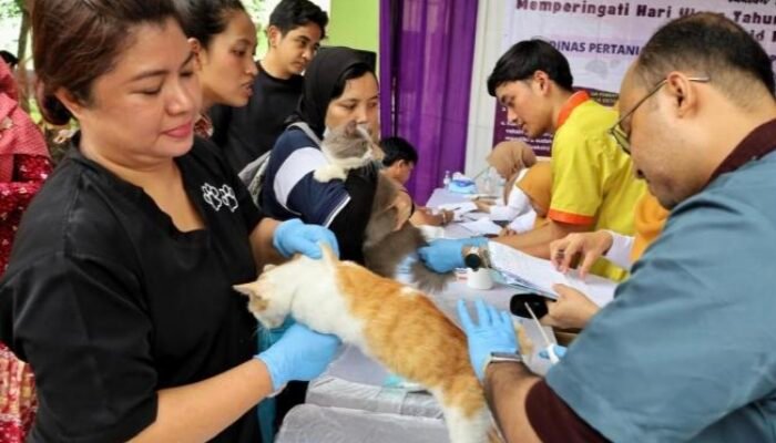 Pemkab Tangerang Gelar Vaksinasi Rabies dan Sterilisasi Hewan Gratis