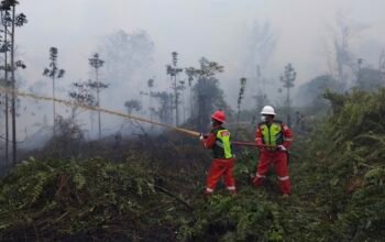 PetroChina Perkuat Pemadaman Karhutla di HLG Londerang, Jambi