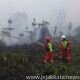 PetroChina Perkuat Pemadaman Karhutla di HLG Londerang, Jambi