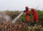 Industri Sawit dan Asap Karhutla yang Mengepung Langit Republik